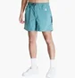 Шорти чоловічі Nike Acg Hiking Shorts Light Blue FN2430-338