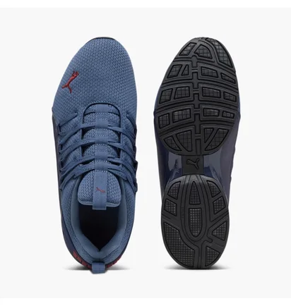 Кроссовки мужские Puma Axelion Refresh Blue 377911-09