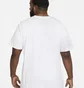 Футболка мужская Nike Mens T-Shirt White Dc5094-100