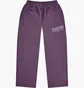 Штани чоловічі Puma X Pleasures Sweatpants Violet 620882-74