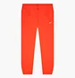Штаны женские Nike Sportswear Essential Red BV4089-673