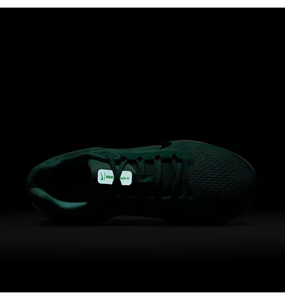 Кроссовки женские Nike Air Winflo 11 Turquoise FJ9510-305