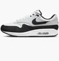 Кросівки чоловічі Nike Air Max 1 Shoes Grey/Black FD9082-107