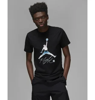Футболка мужская Air Jordan Flight Metallic Graphic T-Shirt Black Dv8414-010
