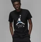Футболка чоловіча Air Jordan Flight Metallic Graphic T-Shirt Black Dv8414-010