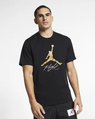 Футболка мужская Air Jordan Jumpman Flight T-Shirt Black AO0664-011