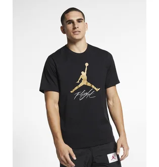 Футболка чоловіча Air Jordan Jumpman Flight T-Shirt Black AO0664-011