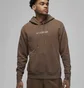 Худи мужское Air Jordan Wordmark Hoodie Brown DV6463-270