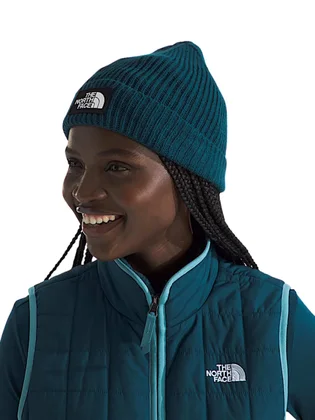 Шапка унисекс The North Face Logo Cuffed Beanie Turquoise NF0A3FJX1NO