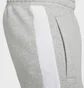 Штани чоловічі Nike Jogger Bb Grey FN0246-063
