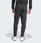 Штаны мужские Adidas Tiro 24 Sweat Tracksuit Bottoms Black IP1976