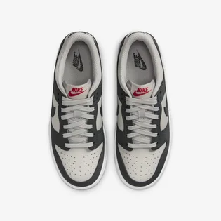 Кросівки дитячі Nike Dunk Low Light Grey FZ1000-001