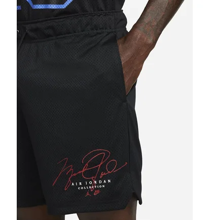 Шорты мужские Air Jordan Mens Mesh Shorts Black Dh9048-010