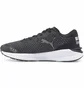 Кроссовки женские Puma Electrify Nitro 2 Wtr Running Shoes Black 376897-01
