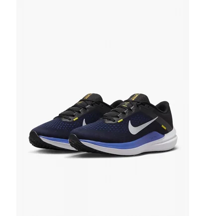 Кроссовки мужские Nike Winflo 10 Blue DV4022-005