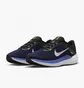 Кроссовки мужские Nike Winflo 10 Blue DV4022-005