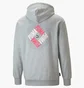 Худи мужское Puma Sportswear By Graphic Hoodie Grey 535660-04