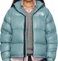 Пуховик унисекс The North Face Exclusive Shine Light Blue NF0A3C8D39F
