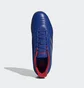 Футзалки чоловічі Adidas Predator 19.4 Sala Blue Bb9083