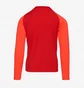Кофта мужская Nike Dri-Fit Academy Pro Drill Top Red DH9230-657