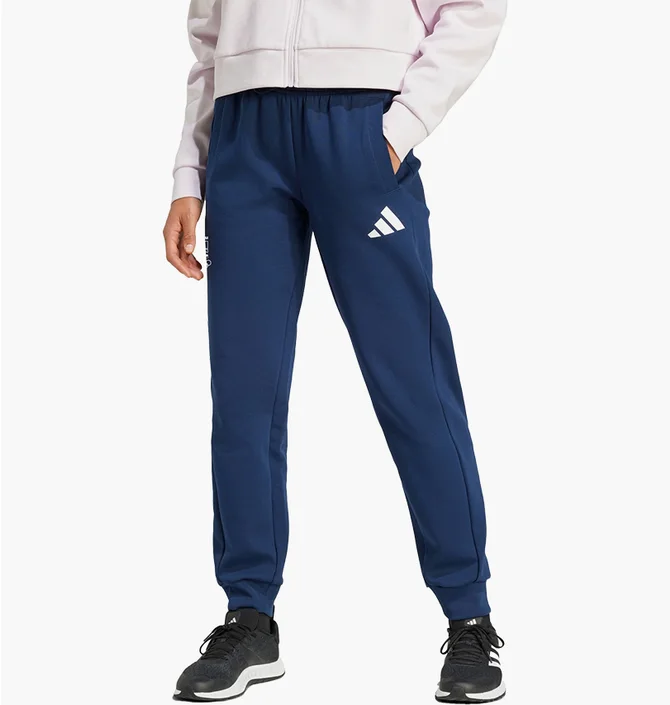 Штаны женские Adidas Poland Future Icons Blue JF9047