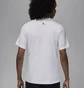 Футболка мужская Air Jordan Sport Dri-Fit T-Shirt White FZ1985-100