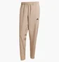 Штаны мужские Adidas Train Essentials Training Beige JW2481