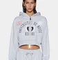 Спортивный костюм женский Ksubi College Origin Zip Hoodie & Carter Wide Trakpant Grey WSP26FL002-WSP26PA005