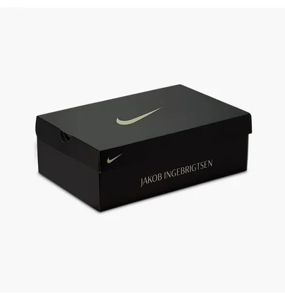 Кросівки чоловічі Nike Air Zoom Pegasus 41 Black HQ3040-200