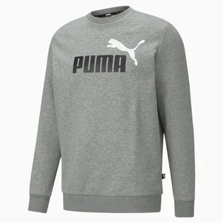 Свитшот мужской Puma Essentials+ Two-Tone Big Logo Grey 586762-03