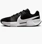 Кросівки жіночі Nike Gp Challenge Pro Black FB3146-001