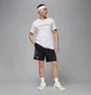 Шорты мужские Air Jordan Dri-Fit Graphic Black HF9943-010