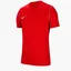 Футболка мужская Nike Park 20 Red Bv6883-657