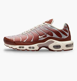Кроссовки женские Nike Air Max Plus Brown/Metallic II7637-200