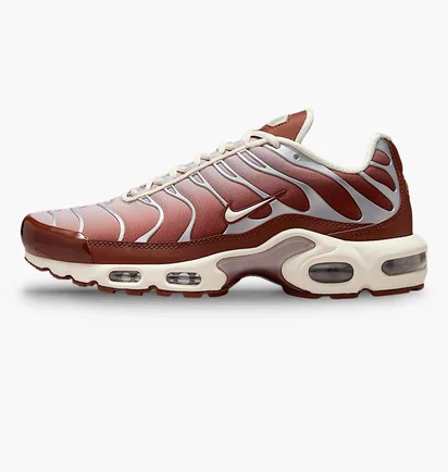 Кроссовки женские Nike Air Max Plus Brown/Metallic II7637-200