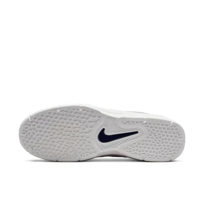 Кросівки чоловічі Nike Vertebrae Sb Grey FD4691-002