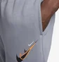Штаны мужские Nike Sportswear Grey FZ1379-065