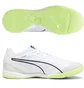 Футзалки мужские Puma Ibero Iv White 107418-01