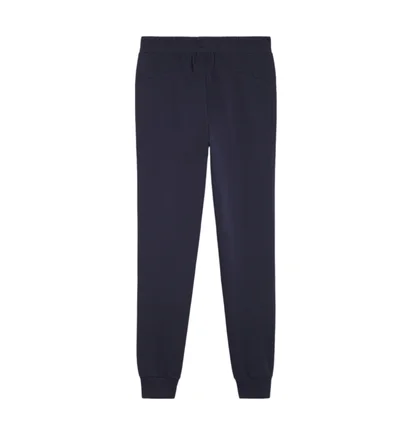 Штаны мужские Puma Teamgoal Casuals Blue 658598-06