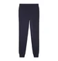 Штаны мужские Puma Teamgoal Casuals Blue 658598-06