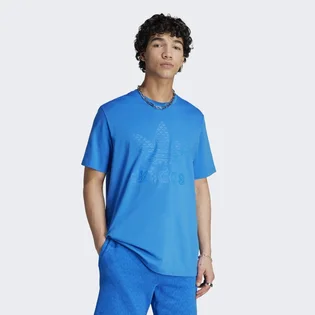 Футболка мужская Adidas Graphics Monogram Tee Blue IL5138
