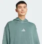 Худи мужское Adidas All Szn Turquoise JN0614
