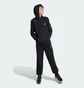 Штани дитячі Adidas Essentials Small Logo Feel Cozy Fleece Black IV7311
