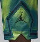 Шорты мужские Air Jordan Dri-Fit Sport Turquoise FB7576-336