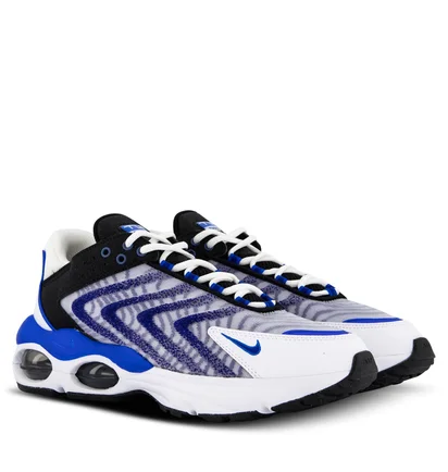 Кросівки чоловічі Nike Air Max Tw Grey/Blue DQ3984-105