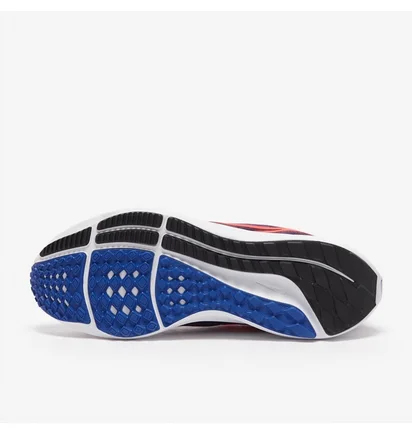 Кросівки жіночі Nike Pegasus 39 Violet DH4072-502