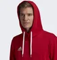Худи мужское Adidas Entrada Red H57514
