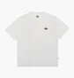 Футболка мужская Dickies Summerdale Ss Tee White DK0A4YAIWHX1