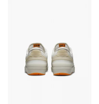 Кроссовки мужские Air Jordan X Shelflife Air 2 Retro Low Sp White DV7128-110
