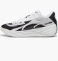 Кросівки чоловічі Puma All-Pro Nitro™ Team Basketball Shoes White/Grey 379081-06